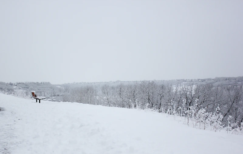 grayscale photography of field and snow covered with snow