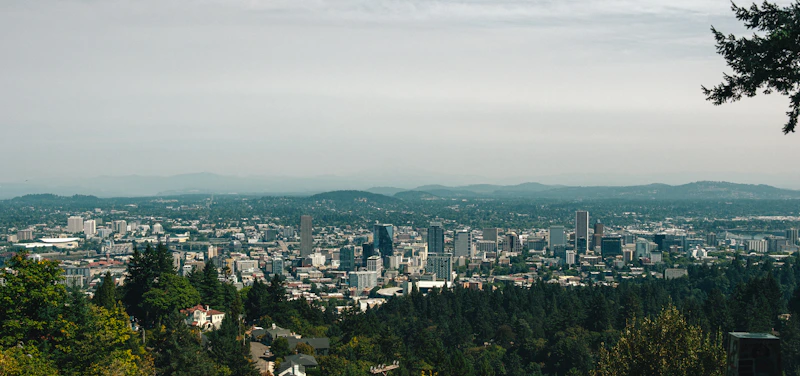 Cityscape with buildings and trees under a cloudy sky